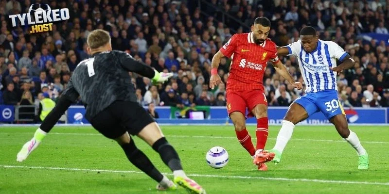 Đánh giá phong độ Brighton vs Liverpool